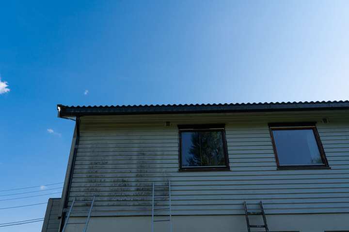 exterior mold removal services Brighton